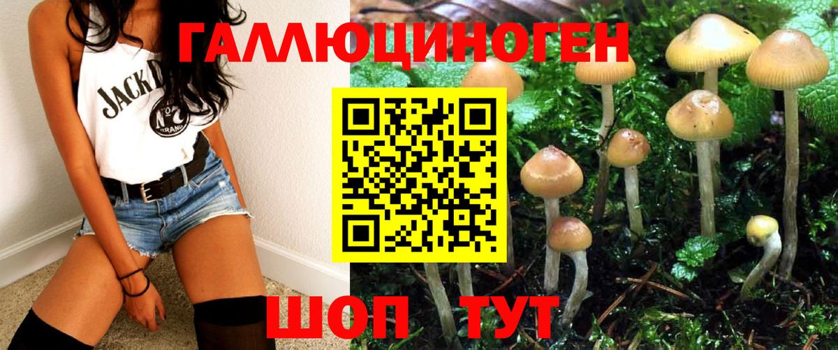 Галлюциногенные грибы Cubensis  Вход с VPN  Казань 